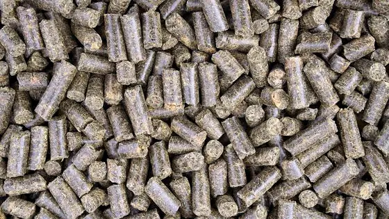 Animal feed