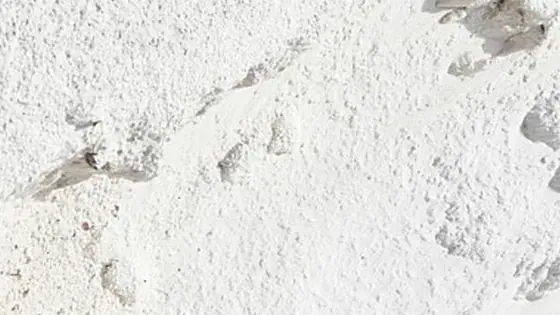 Detergents & Home Care